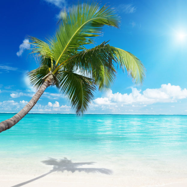 The Beach Amazing Nature Wallpaper Photos - HD Wallpapers Backgrounds Desktop, iphone & Android Free Download